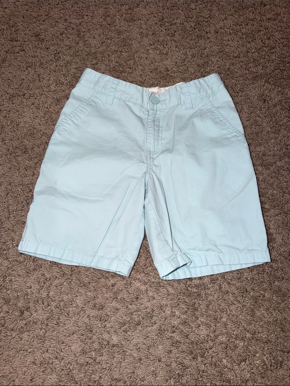 Cat & Jack Light Blue Men’s Flat Front Shorts